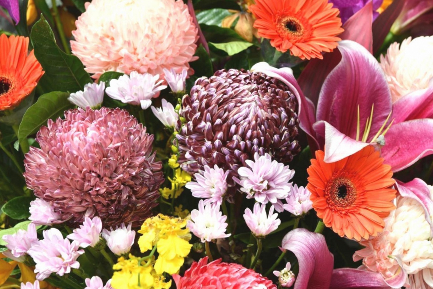Hand-Tied Parallel Bouquets: Structure Without a Container