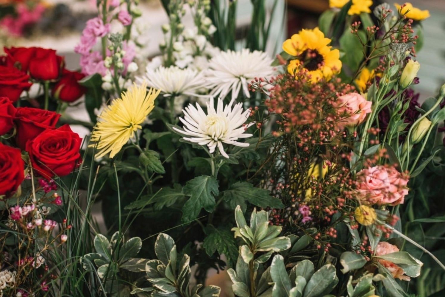 Close-up of parallel floristry arrangement with soft depth-of-field blur on foreground stems